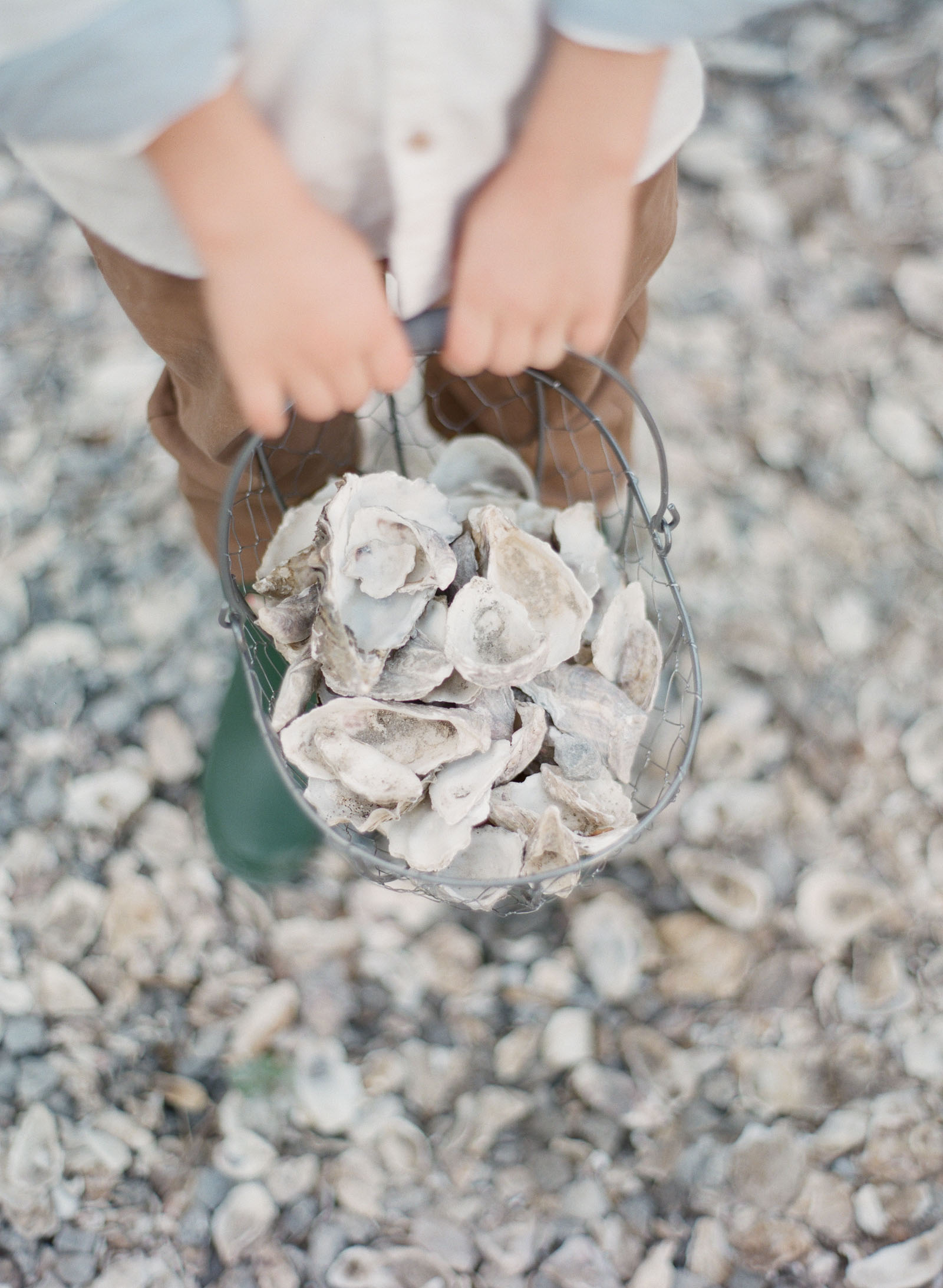 oyster shells on film, kent avenue photography 