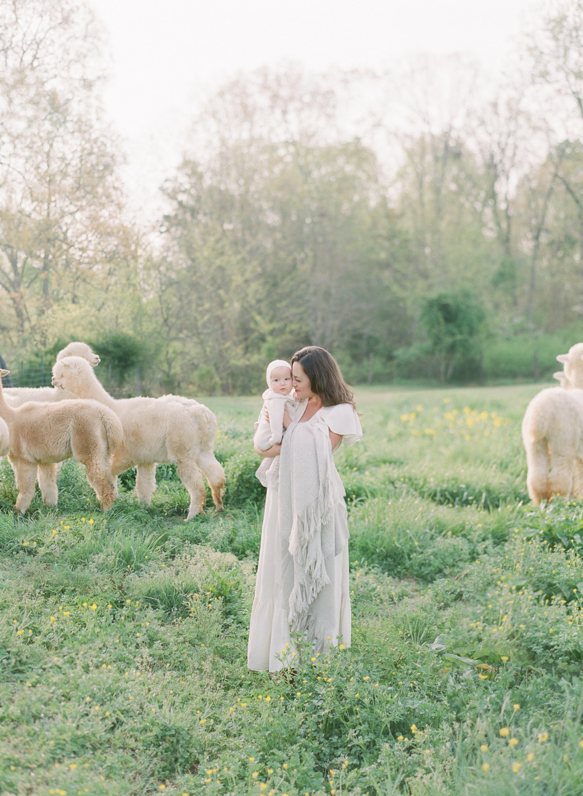 Kent-Avenue-Photography-Charlotte-Newborn-Photographers-On-Film-Mother-and-child-in-field-with-alpacas