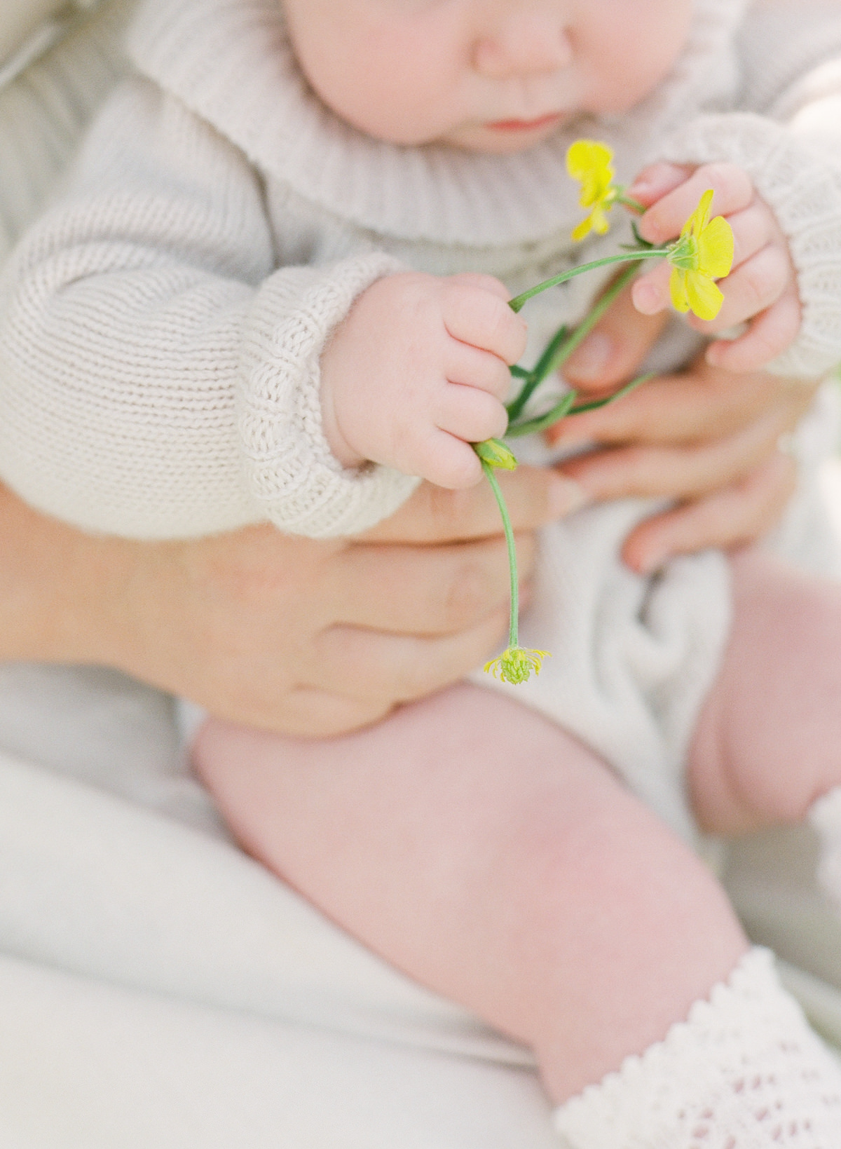 Kent-Avenue-Photography-Charlotte-Newborn-Photographers-On-Film-Baby-holds-Flowers-in-hand