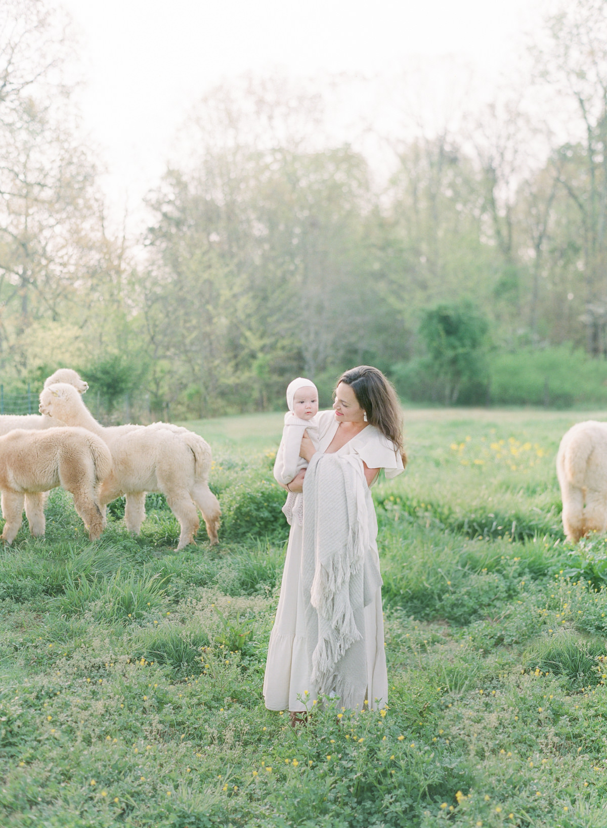 Kent-Avenue-Photography-Charlotte-Newborn-Photographers-On-Film-Mother-and-child-in-fiel-with-alpacas