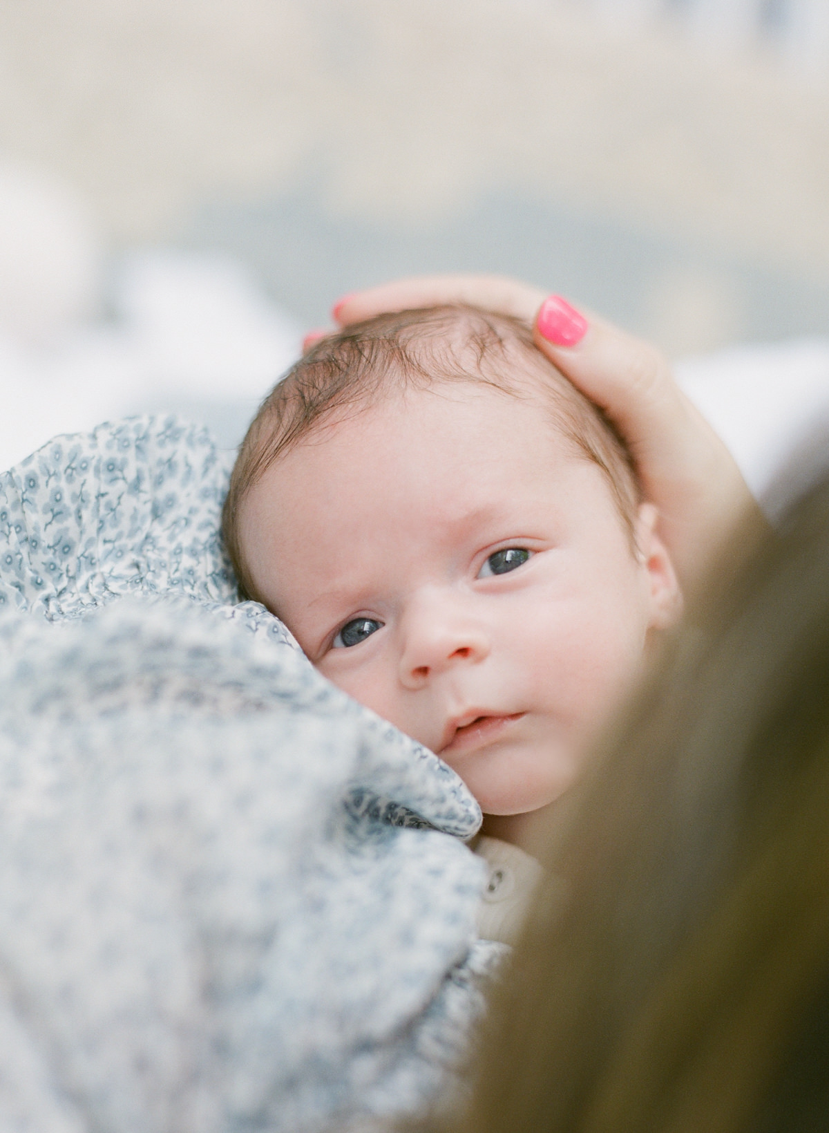 Charlotte Newborn Photography - Mom holding newborn - Kent Avenue Photography