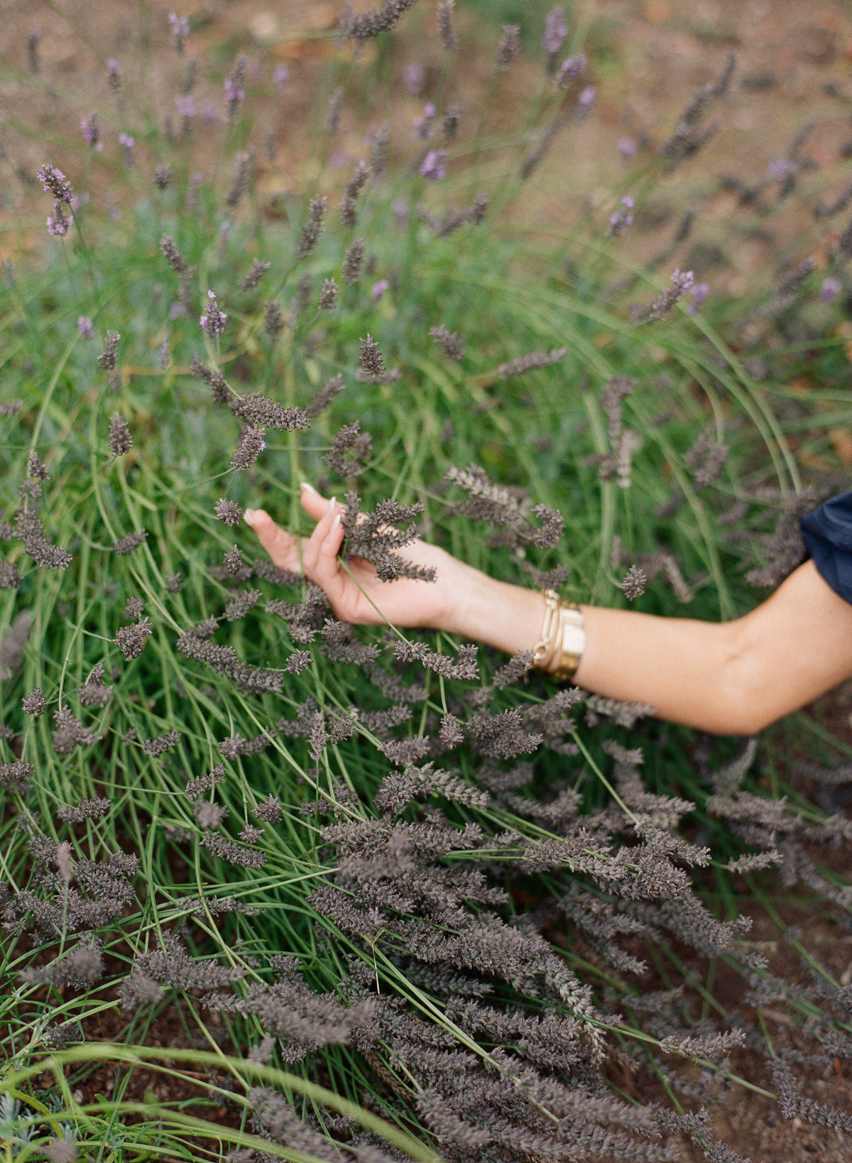 16_Kent Avenue Photography_A Hillsborough Family Photography Session on Film