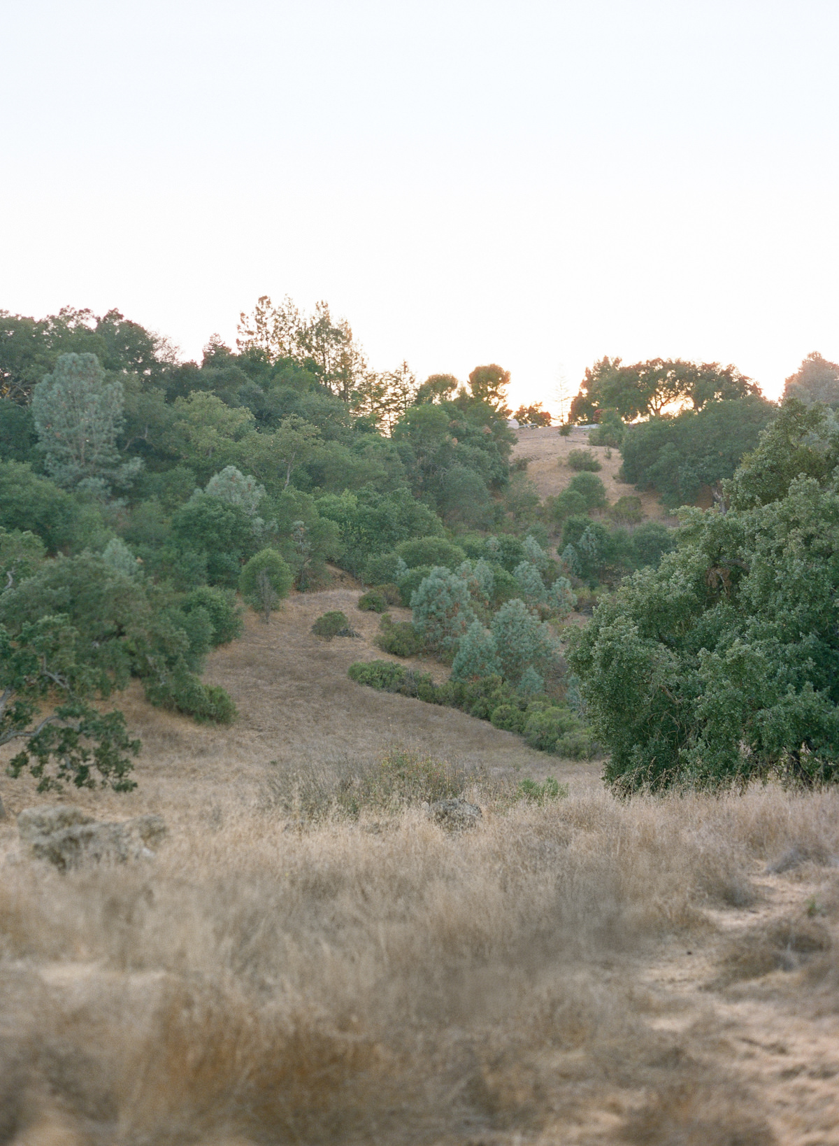 30_Kent Avenue Photography_SF Bay Area Newborn Session on Film