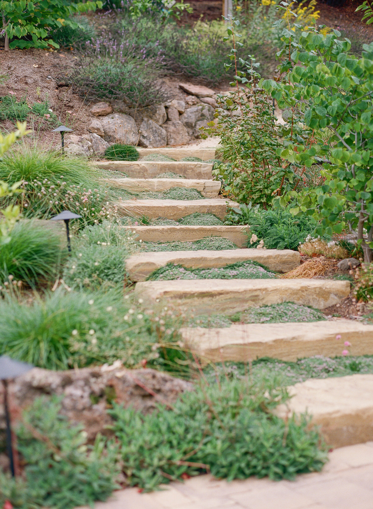 4_Kent Avenue Photography_A Hillsborough Family Photography Session on Film